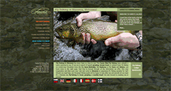 Desktop Screenshot of fly-fishing-slovenia.si